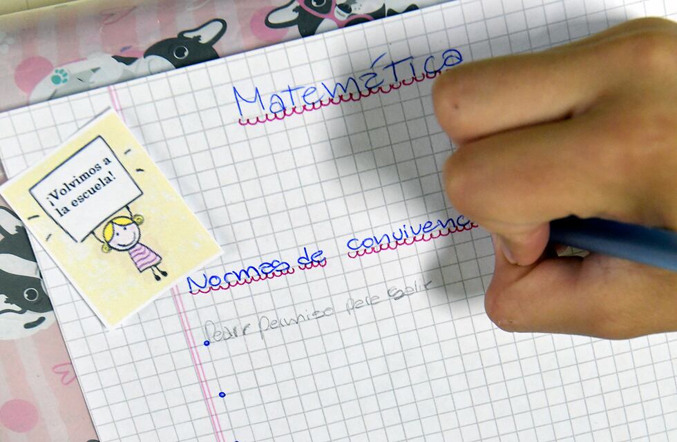 Escuelas en Tandil: crece el temor por el comienzo de las clases