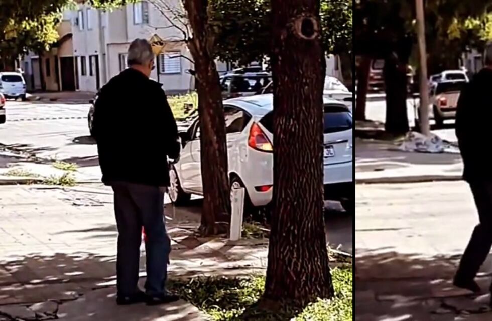 ¿De qué raza es?: Un santafesino sacó a pasear a una extraña mascota y se hizo viral en Instagram