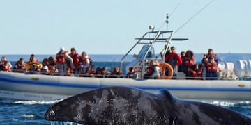 Puerto Madryn es sinónimo de aventura, naturaleza y tranquilidad frente al mar.. (Foto: Web)