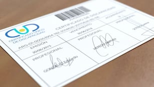 Quiénes pueden tramitar el Certificado Único de Discapacidad en noviembre en 2025: el paso a paso