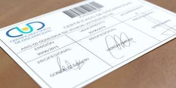 Quiénes pueden tramitar el Certificado Único de Discapacidad en noviembre en 2025: el paso a paso