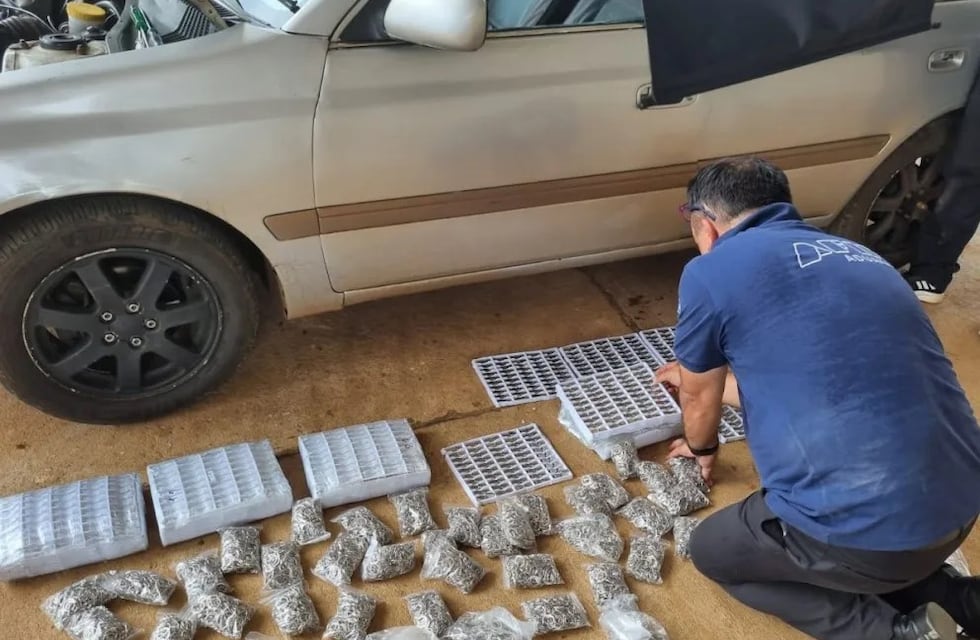 Agentes de Aduanas impiden el contrabando de pendrives en Puerto Iguazú