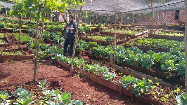 Las huertas comunitarias, actividades bastante presentes en la ciudad de Oberá.