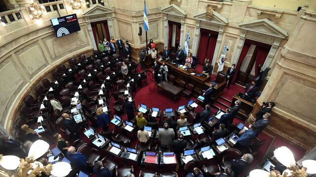 El Senado aprobó por unanimidad el alivio fiscal (Foto: Comunicación Senado)