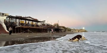 Apareció sin vida en la playa de Las Grutas.