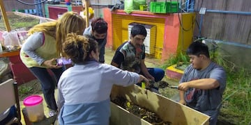 La escuela especial N°1 trabajó en su huerta y la Secretaría de Medio Ambiente los ayudó