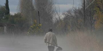 Beneficios que otorga la declaracion de Emergencia a los productores afectados por el granizo. Imagen de archivo.