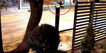 Violencia en Córdoba. El robo quedó registrado por una cámara de seguridad. (Captura de video / El Doce)