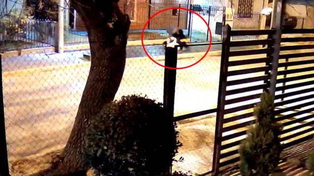 Violencia en Córdoba. El robo quedó registrado por una cámara de seguridad. (Captura de video / El Doce)