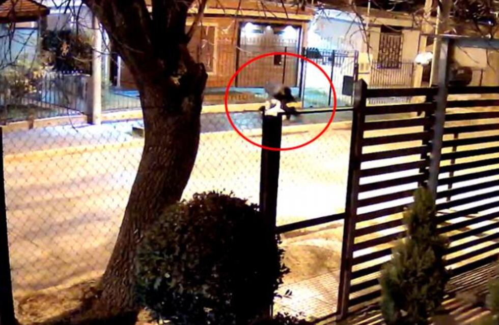 Violento asalto contra una cordobesa de 60 años: el ladrón la arrastró hasta sacarle la cartera