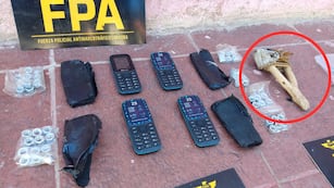 El elemento utilizado para meter drogas dentro del complejo carcelario, donde eran vendidas.