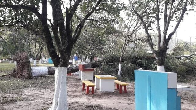 Viento zonda en Salta