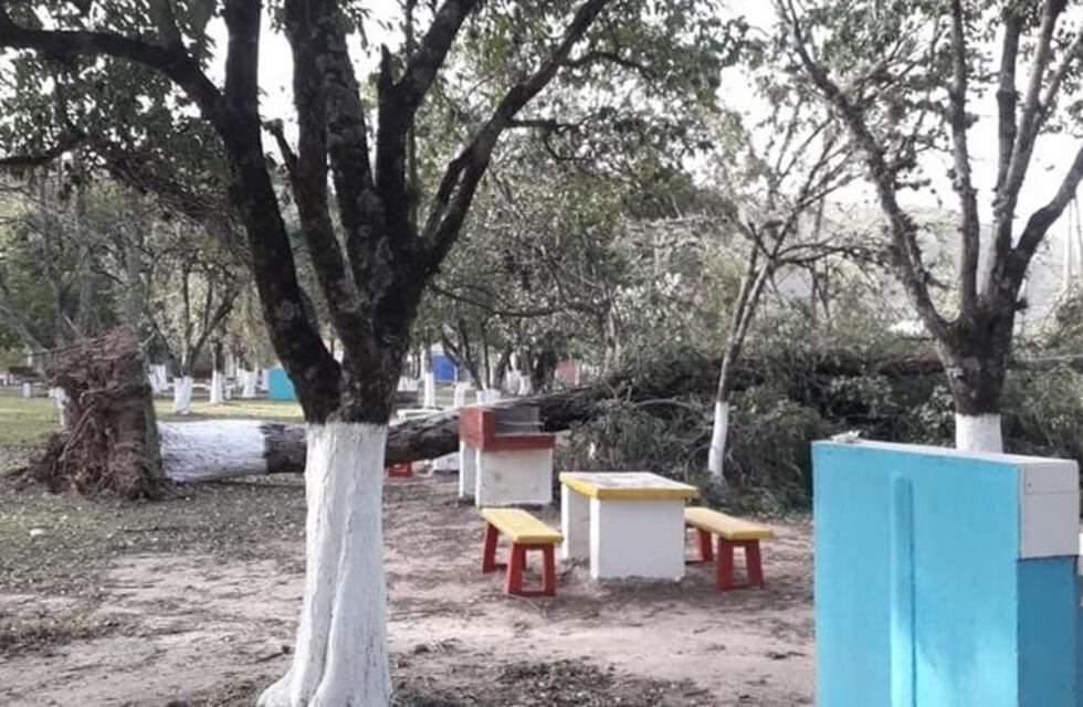 El viento zonda hizo estragos en diferentes municipios de Salta