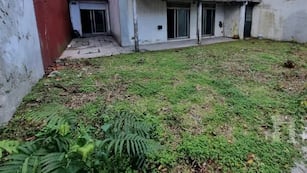 La criatura desconocida estaba en el jardín de una casa.