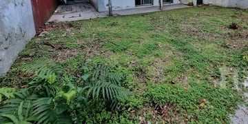 La criatura desconocida estaba en el jardín de una casa.