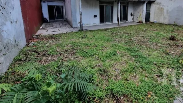 La criatura desconocida estaba en el jardín de una casa.