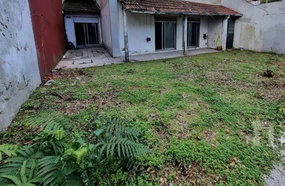 Encontró una extraña criatura en el patio de su casa y entró en pánico: “Nunca vi algo así”