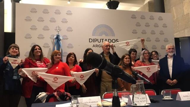 Yanina Carrasco representó a San Juan en el Congreso, junto a ella hubo 4 referentes de Buenos Aires y uno de Rosario.