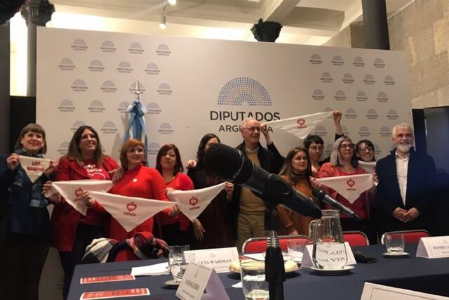 Yanina Carrasco representó a San Juan en el Congreso, junto a ella hubo 4 referentes de Buenos Aires y uno de Rosario.