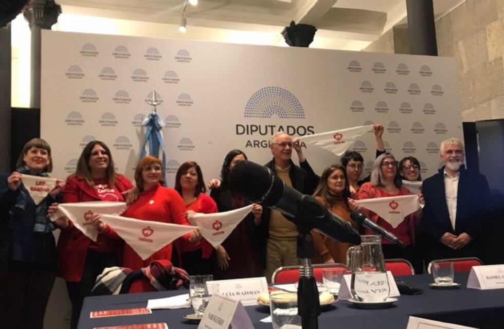 La lucha de una mamá sanjuanina llegó al Congreso para conseguir la Ley Cardio