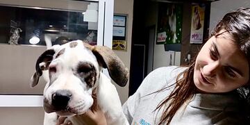 Drako, en historias de consultorios nos cuenta lo que vivió cuando descubrieron que era alérgico.