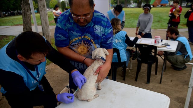 Vacunación gratuita para mascotas en Córdoba. (Pedro Castillo / La Voz)