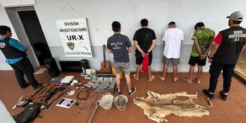 Confirmaron que el pelaje hallado en un allanamiento en Posadas pertenece a un puma.