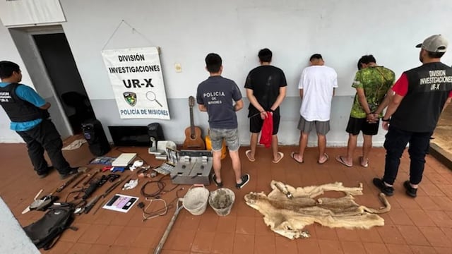 Confirmaron que el pelaje hallado en un allanamiento en Posadas pertenece a un puma.