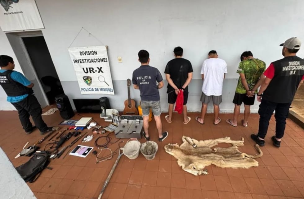 Confirmaron que el pelaje hallado en un allanamiento en Posadas pertenece a un puma