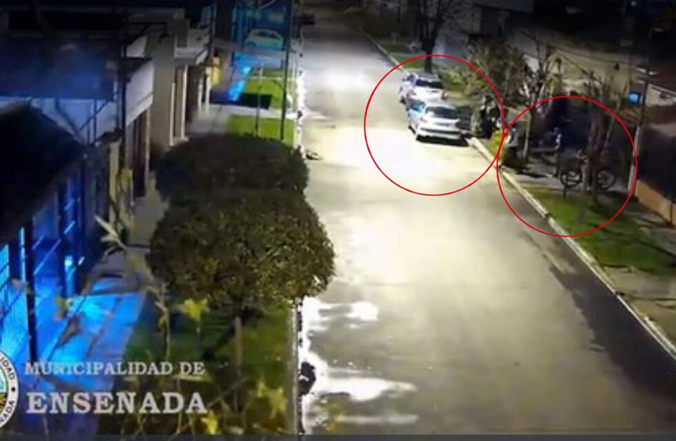 De no creer: cuatro chicos salieron a robar y cuando terminaron los pasó a buscar la madre