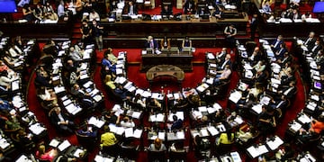 Con 132 votos a favor y 104 en contra, la Boleta Única en Papel obtuvo media sanción.