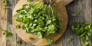 Esta superverdura contiene más calcio que la leche y más vitamina C que la naranja y es ideal para agregar a tus comidas.