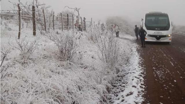 Nieve en Salta