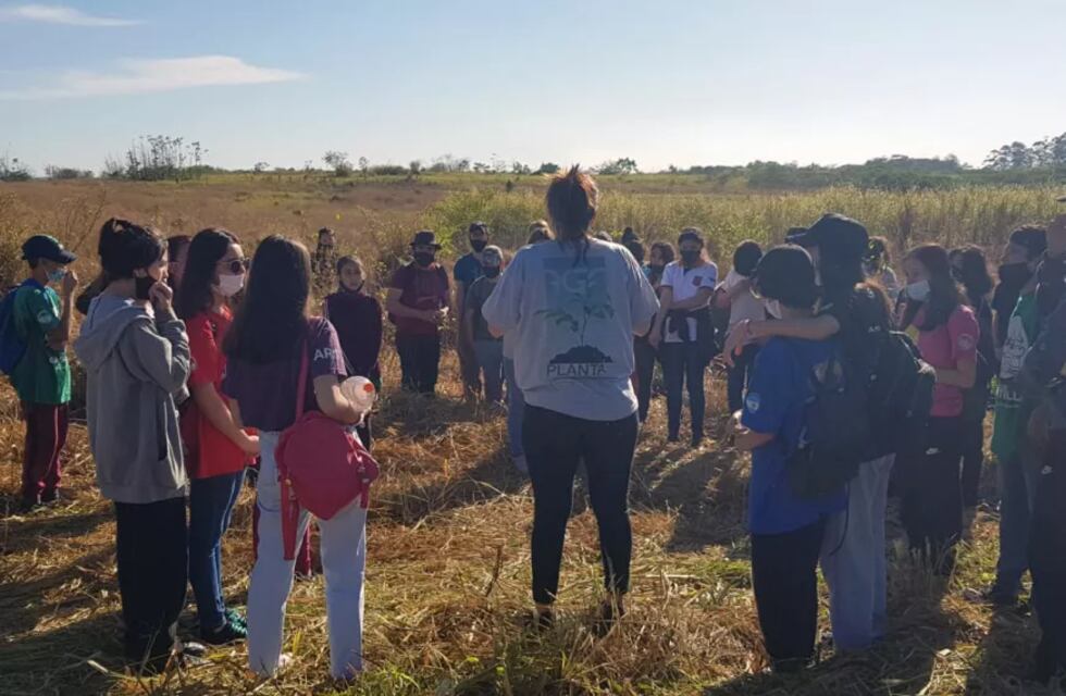 Se realizó plantación de árboles en el predio del Monte Seguín en Puerto Rico