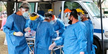 Este lunes se detectaron 246 contagios (APN)