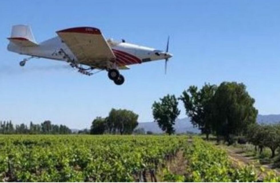 Continúa la fumigación aérea contra la polilla de la vid