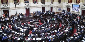 Diputados aprobó un emplazamiento a comisiones para tratar la ley de humedales (Foto: HCDN)