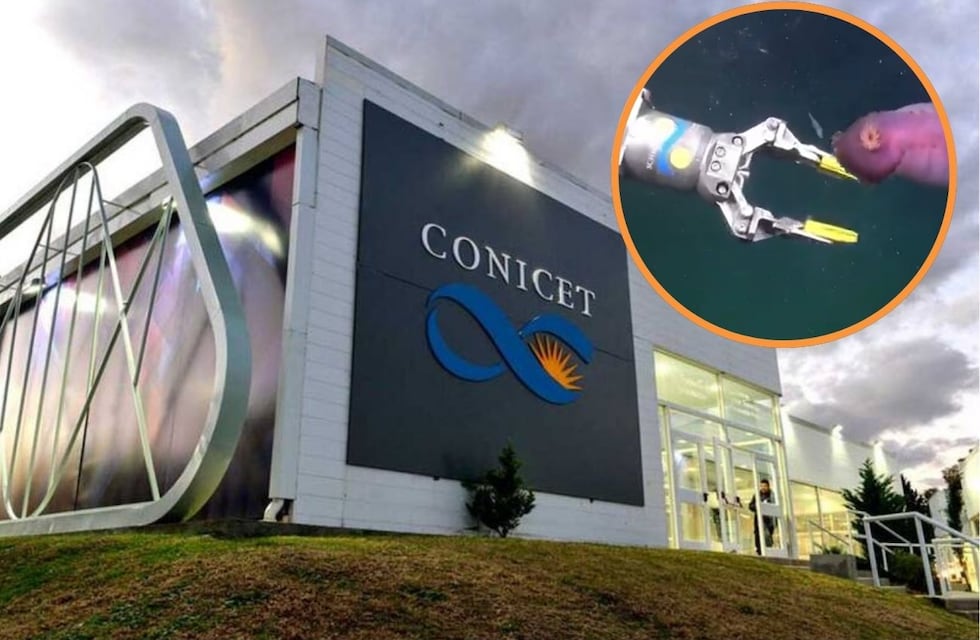 Qué significa CONICET y cuál es su función en Argentina