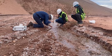 El monitoreo ambiental en la región donde opera el "Proyecto Cauchari-Olaroz" consistió en una evaluación biológica de flora y fauna, y un examen físico químico del aire, el agua y el suelo.