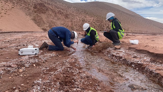 El monitoreo ambiental en la región donde opera el "Proyecto Cauchari-Olaroz" consistió en una evaluación biológica de flora y fauna, y un examen físico químico del aire, el agua y el suelo.