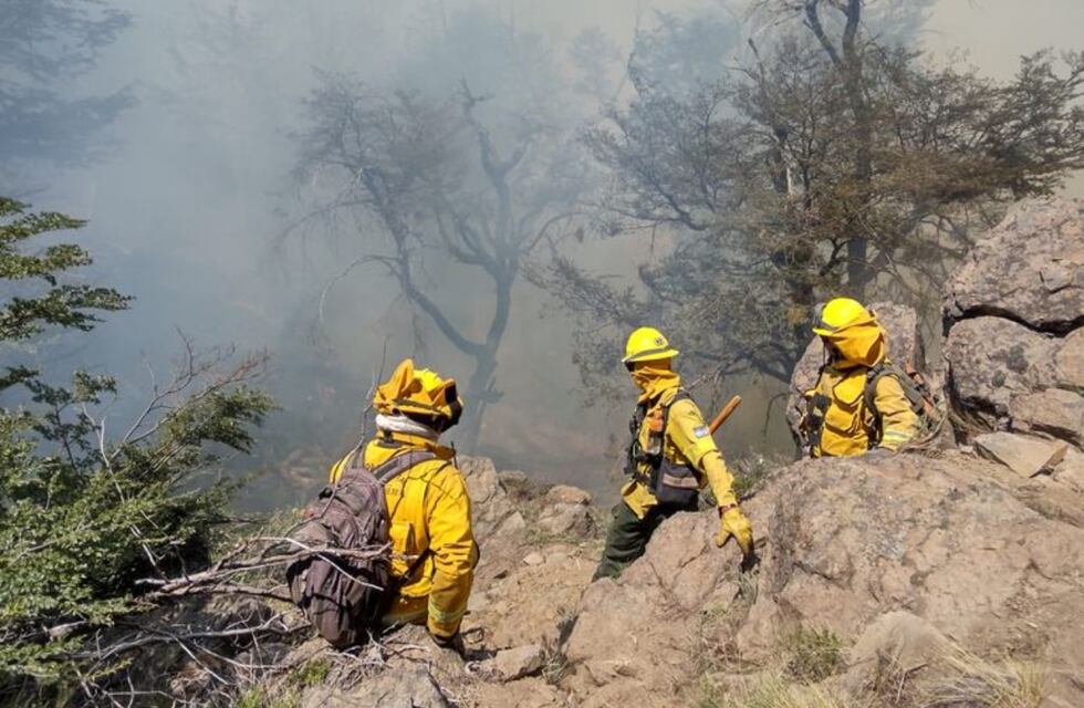 Incendio en Quillén: no se detectó actividad de fuego pero la guardia de cenizas trabajará por lo menos 15 días