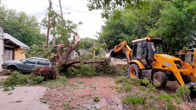 Una máquina trabajando en sacar un árbol caído sobre un auto (Plan B Noticias)