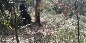 Accidente laboral en San Vicente: cortaba un árbol y falleció aplastado por una rama.