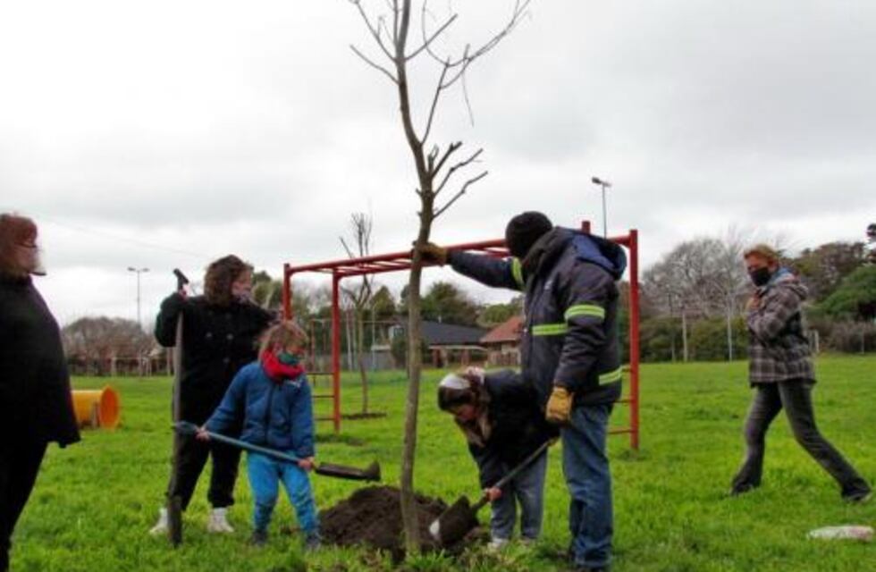 Ya se plantaron más de 2 mil árboles en 44 barrios de la ciudad