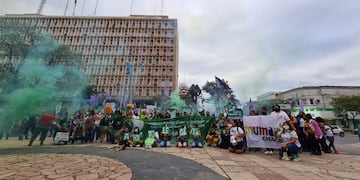 En Chaco, organizaciones feministas piden que se apruebe el proyecto IVE.