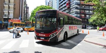 La mujer cruzaba por la senda peatonal cuando fue embestida.