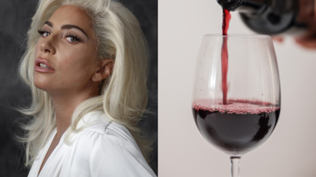 Lady Gaga impresionó al mostrar cuál es el vino argentino que le gustó.