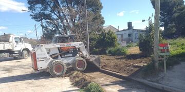Trabajos semanales de la Secretaría de Gestión Ambiental