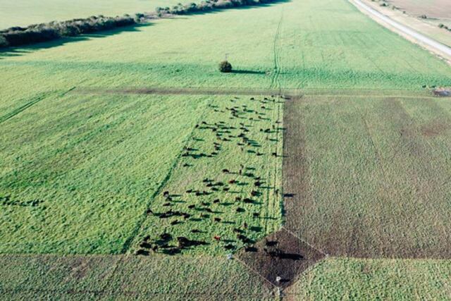 Pastoreo Racional Intensivo