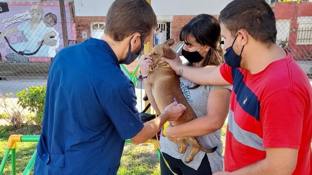 Campaña antirrábica en Gualeguaychú